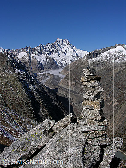 Foto: Steinmann auf dem Sidelhorn. Blick auf den Unteraargletscher mit markanter Mittelmoräne und den Lauteraargletscher. Im Hintergrund: Hugihorn, Klein Lauteraarhorn, Lauteraarhorn, Schreckhorn, Rothoren und Hienderstock.Links im Vordergrund: Vorderer Zinggenstock und Hinterer Zinggenstock.