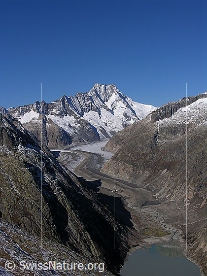 Foto: Blick vom Sidelhorn auf das westliche Ende des Grimselsees mit Schwemmebene (Gletschervorfeld), Unteraargletscher mit markanter Mittelmoräne und Lauteraargletscher. Im Hintergrund: Hugihorn, Klein Lauteraarhorn, Lauteraarhorn, Schreckhorn und Rothoren.