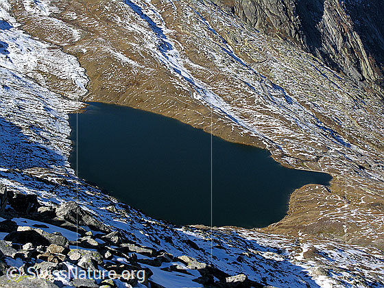 Foto: Blick vom Sidelhorn auf das Triebtenseewli.