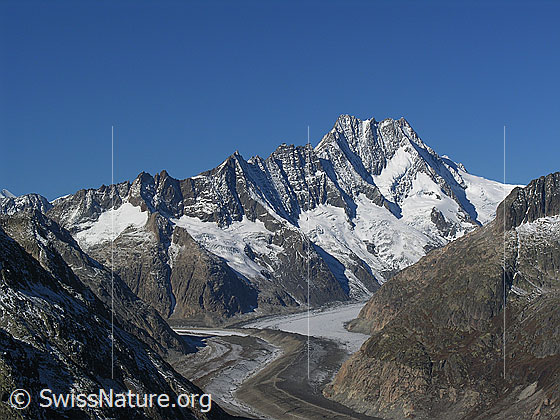 Foto: Blick vom Sidelhorn auf den Unteraargletscher mit markanter Mittelmoräne, Lauteraargletscher, Hugihorn, Klein Lauteraarhorn, Lauteraarhorn, Schreckhorn und Rothoren.