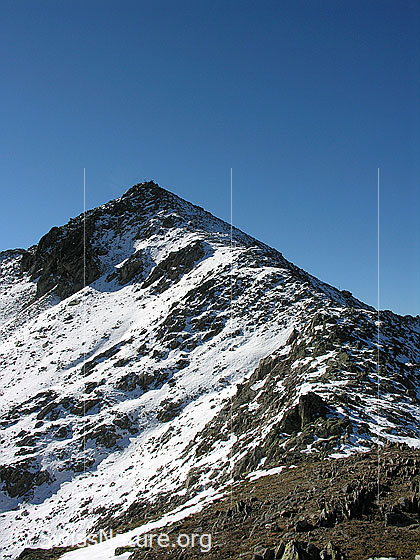 Foto: Oberhalb Grimselpass. Blick zum Gipfel des Sidelhorns.