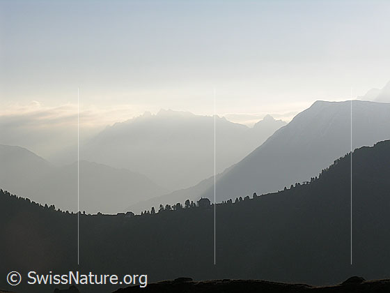 Foto: Im Aufstieg zum Sparrhorn. Blick über die Riederfurka Richtung Binntal. 
Rechts ist das Breithorn zu sehen.
