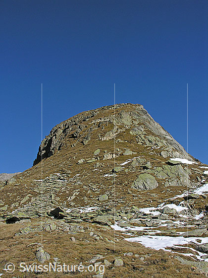 Foto: Die Steilstufe kurz unterhalb dem Sparrhorngipfel.
