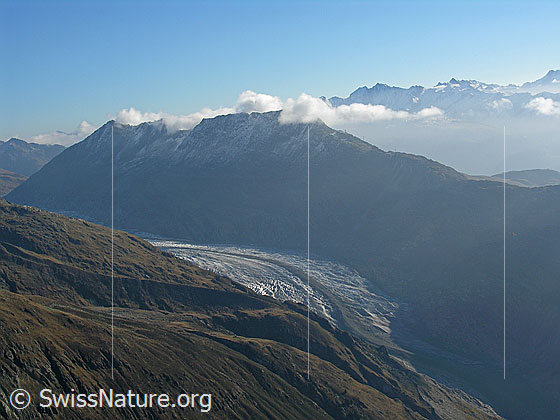 Foto: Herbstliche Stimmung über Eggishorn, Bettmerhorn und Aletschgletscher,.