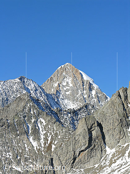 Foto: Blick vom Gipfel des Sparrhorns zum Nesthorn, einem eindrücklichen Gipfel im Oberaletsch.