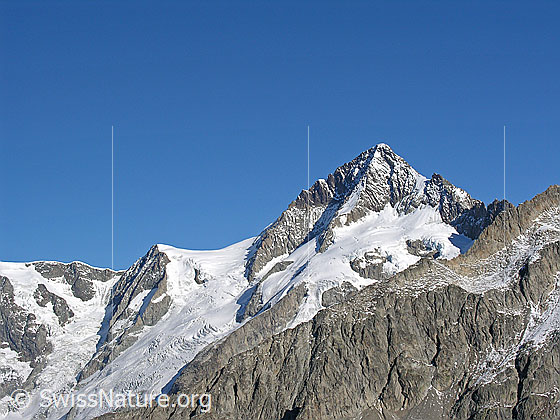 Foto: Kleines Aletschhorn, Oberaletschfirn und Aletschhorn vom S (Sparrhorn)