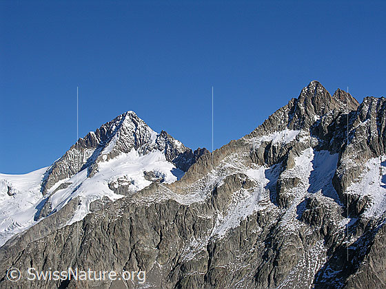 Foto: Aletschhorn, Gross Fusshorn und Rotstock von S (Sparrhorn)