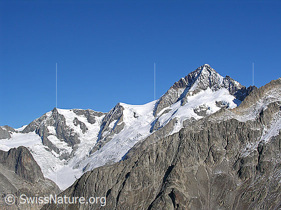 Foto: Distelberg, Sattelhorn, Kleines Aletschhorn und Aletschhorn von S (Sparrhorn)