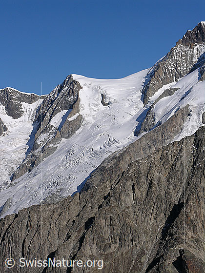 Foto: Kleines Aletschhorn von S (Sparrhorn)
Gletscher: Oberaletschfirn.
