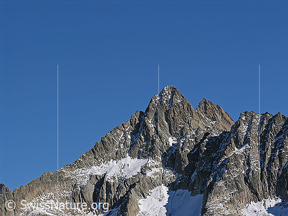 Foto: Gross Fusshorn und Rotstock von S (Sparrhorn)