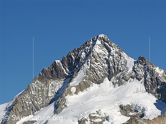 Foto: Gipfelaufbau des Aleschhorns von S (Sparrhorn)
Davor der Oberaletschgletscher.