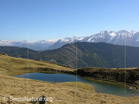Foto: Lüsgersee in herbstlicher Berglandschaft. Blick über den Bergsee, die Alpweiden und bewaldeten Berghänge zu den verschneiten Berggipfeln des Oberwallis.