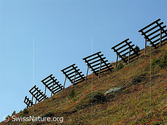 Foto: Lawinenverbauung an herbstlich gefärbtem Berghang.