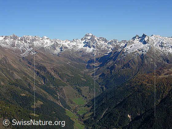 Foto: Aussicht vom Breithorn über das Binntal (Kerbtal) mit bewaldeten Berghängen zu Turbhorn, Hohsandhorn, Ofenhorn und Schinhörner.
