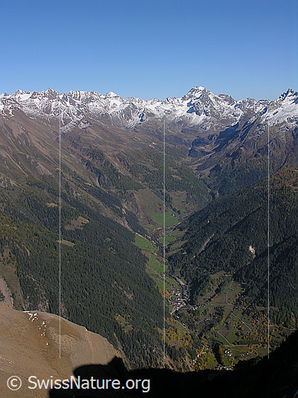 Foto: Tiefblick vom Breithorn in den Taleinschnitt des Binntals (V-Tal). Die Berghänge sind bewaldet (Schutzwald). Im Hintergrund ist die Bergkette mit Ofenhorn zu sehen.
