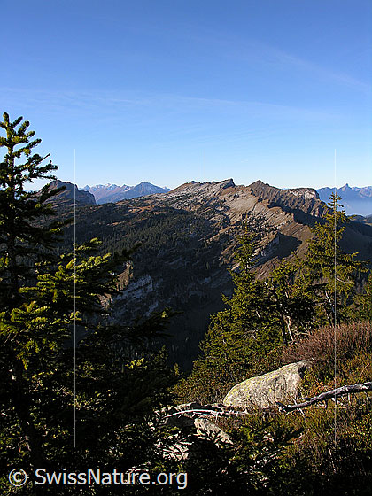 Foto: Im Aufstieg zum Trogenhorn. Blick auf die Sieben Hengste.