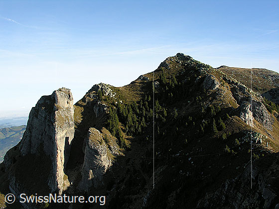 Foto: Blick auf Felstürme und zum Gipfel des Trogenhorns.