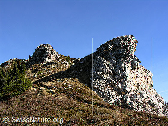Foto: Bergweg durch herbstliche Landschaft und entlang von Felstürmen am Trogenhorn.