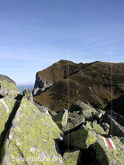 Foto: Bergweg über den Blockgrat des Trogenhorns. Im Hintergrund ist der Hohgant West zu sehen.