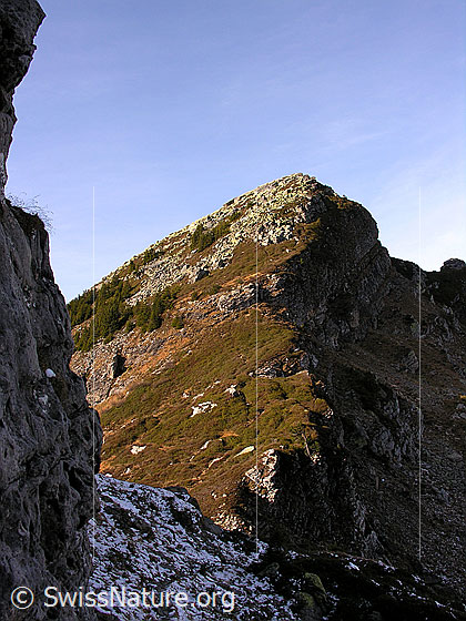 Foto: Blick zum Gipfel des Trogenhorns.