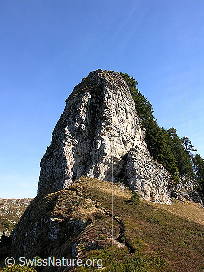 Foto: Felsturm am Bergweg zwischen Trogenhorn und Hohgant West.
