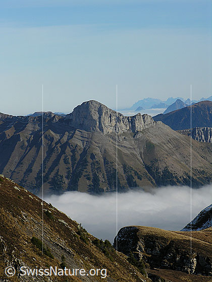 Foto: Im Aufstieg zum Hohgant West. Blick zum Schibengütsch und auf ein Nebelmeer.