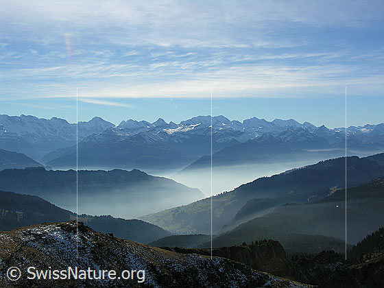 Foto: Blick vom Hohgant West über feine Nebelschichten zwischen Gratkanten zu den Berner Alpen.