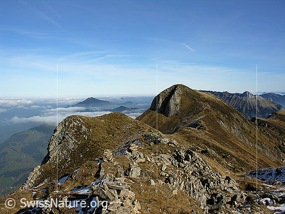 Foto: Blick vom Hohgant West über den Wysschrüzgrat auf das Nebelmeer über dem Mittelland. Im Hintergrund: Beichlen und Schibengütsch.