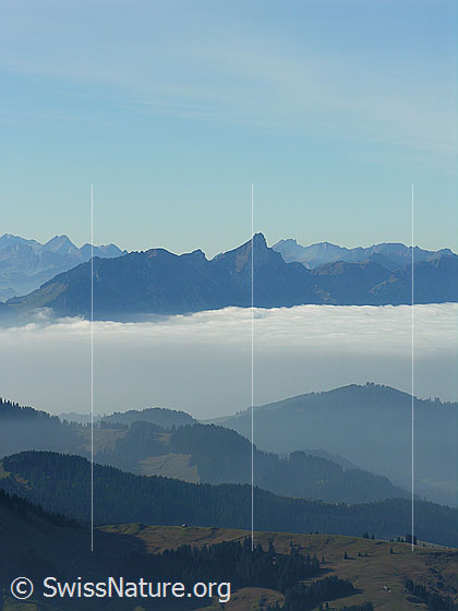 Foto: Blick vom Hohgant West über Hügellandschaft und Nebelmeer zum Stockhorn.
