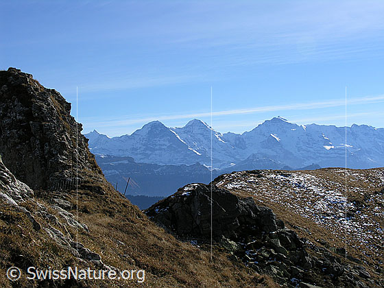 Foto: Im Abstieg vom Hohgant West. Blick auf Eiger, Mönch und Jungfrau.
