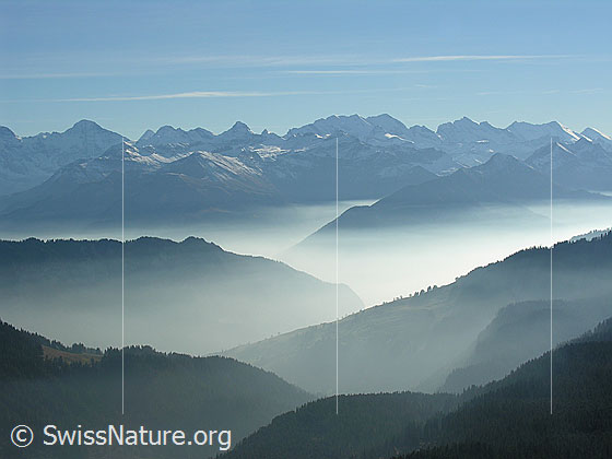 Foto: Im Abstieg vom Hohgant West. Blick über feine Nebelschichten zwischen Gratkanten zu den Berner Alpen.