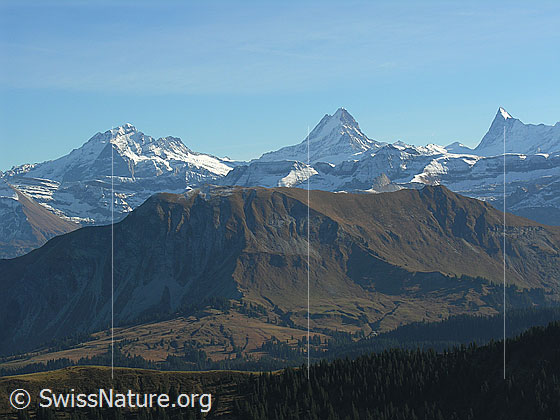 Foto: Im Abstieg vom Hohgant West. Blick auf Wetterhorn, Schreckhorn, Finsteraarhorn und auf das Augstmatthorn im Vordergrund.