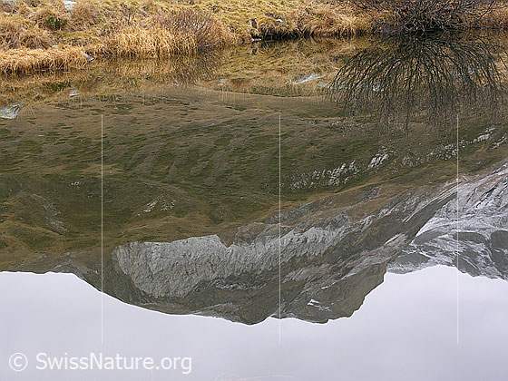 Foto: Spiegelung des herbstlich gefärbten Ufers und der Turbechepf im spiegelglatten Halsesee.