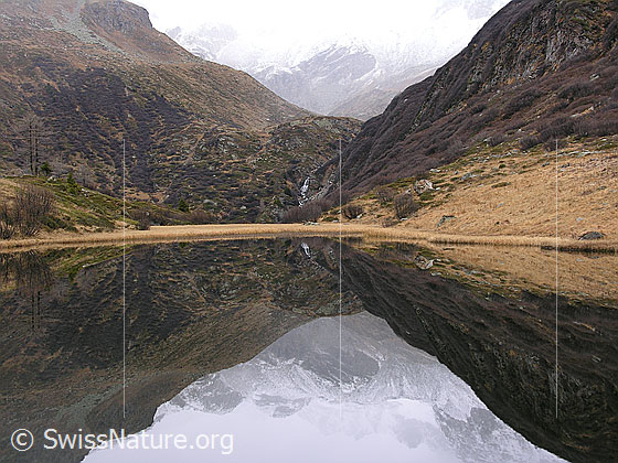 Foto: Spiegelung der herbstlichen Umgebung und des Ofenhorns mit Tälli im spiegelglatten Halsesee.