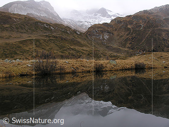 Foto: Spiegelung der herbstlichen Umgebung, des Ufers und der Region Turbechepf und Turbhorn im spiegelglatten Halsesee.