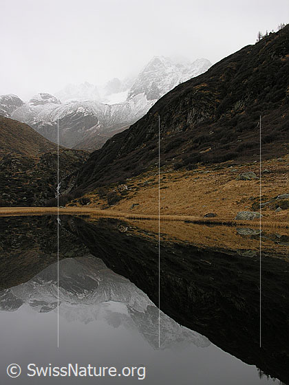 Foto: Spiegelung der herbstlichen Umgebung und des leicht verschneiten Ofenhorns mit Tälli im spiegelglatten Halsesee.