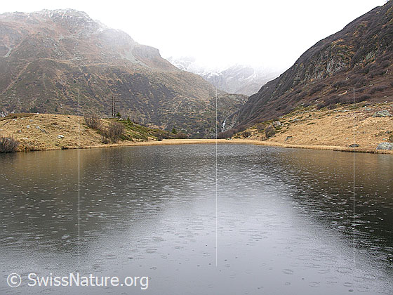 Foto: Trübes Wetter und Regen am herbstlichen Halsesee.