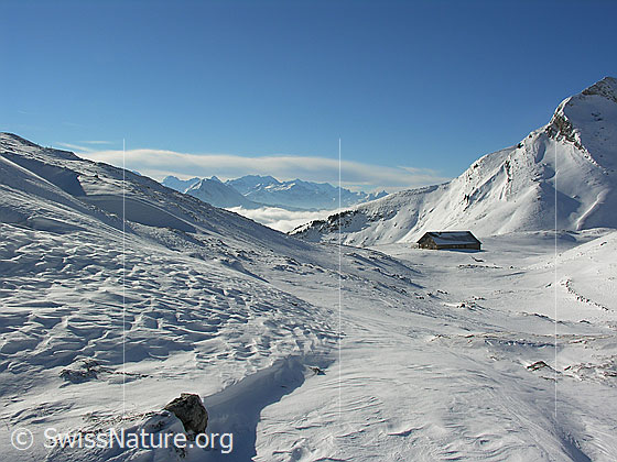 Foto: Im Aufstieg zum Böli (Schrattenfluh) in schneebedeckter Winterlandschaft. Blick zur Alphütte in der Chlus. Im Hintergrund ist ein Teil der Berner Alpen mit Nebelmeer zu sehen.