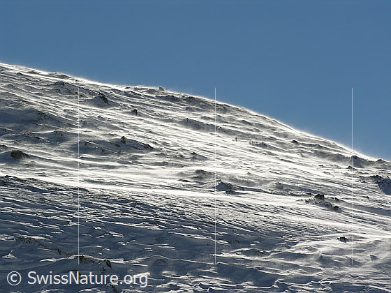 Foto: Schneeverwehungen am Böli (Schrattenfluh).