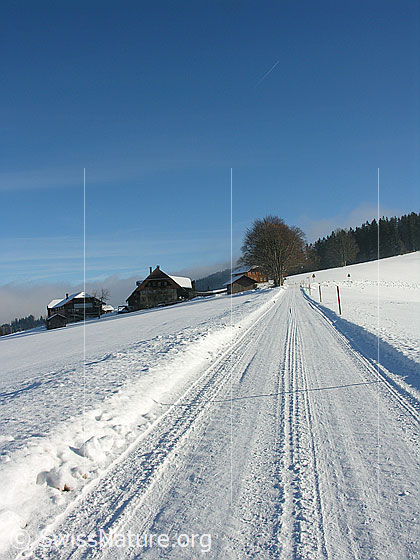 Foto: Fahrstrasse und Bauernhöfe auf dem Hinter Blappach, Eggiwil, in schneebedeckter Emmentaler Winterlandschaft. Eine Nebelwalze reicht fast bis zum Weiler.