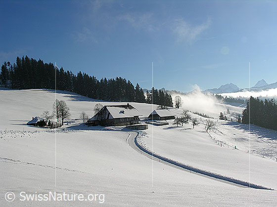Foto: Bauernhof Hohwür bei Blappach, Eggiwil, in schneebedeckter Emmentaler Winterlandschaft mit Nebelschwaden.