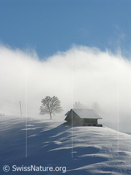Foto: Stall auf Emmentaler Krete bei Rämisgummen, Eggiwil, von Nebelschwaden umgeben.