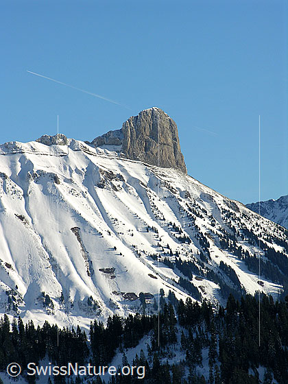 Foto: Blick vom Wachthubel zum Schibengütsch in der Schrattenfluh. Die Furchen des Felsmassivs kommen im Schnee gut zur Geltung.