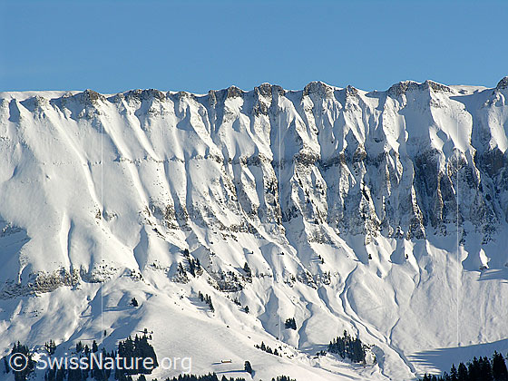 Foto: Blick vom Wachthubel in die gefurchte, verschneite Felswand der Schrattenfluh.