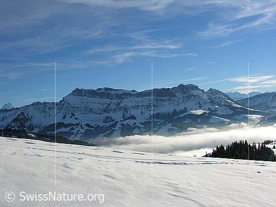 Foto: Blick vom Wachthubel über das Nebelmeer zum Hohgant.