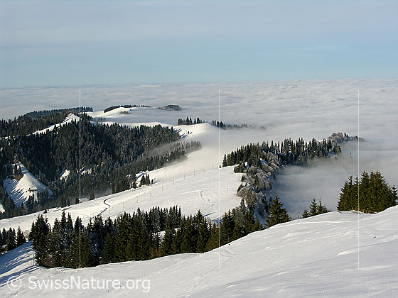 Foto: Blick vom Wachthubel über die schneebedeckte Emmentaler Hügellandschaft bei Rämisgummen auf die Nebelgrenze und ein umfassendes Nebelmeer über dem Mittelland.
