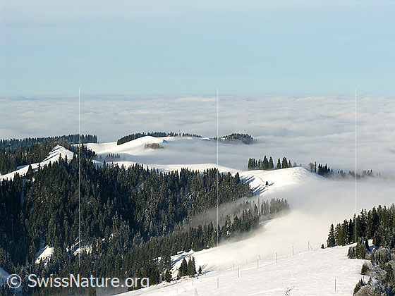 Foto: Blick vom Wachthubel über die schneebedeckte Emmentaler Hügellandschaft bei Rämisgummen auf die Nebelgrenze und ein umfassendes Nebelmeer über dem Mittelland.
