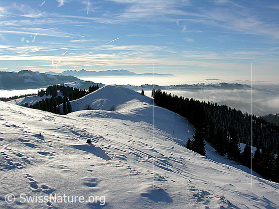 Foto: Blick vom Wachthubel über schneebedeckte Emmentaler Hügellandschaft mit Nebelmeer. Im Hintergrund die Stockhornkette.