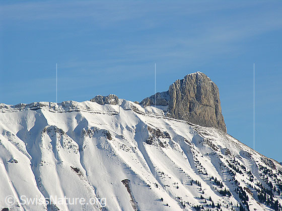 Foto: Blick vom Wachthubel zum Schibengütsch in der Schrattenfluh. Die Furchen des Felsmassivs kommen im Schnee gut zur Geltung.