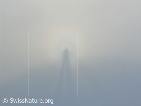 Foto: Von farbigen Ringen umgebenes Schattenbild (Brockengespenst) einer Person im Nebel dicht an der Nebelgrenze.